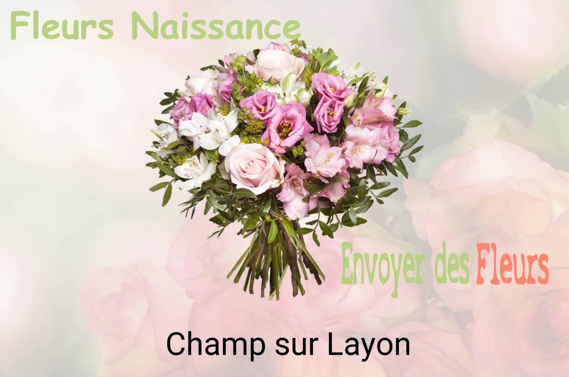 Bouquet de fleurs de naissance livré à Champ-sur-Layon