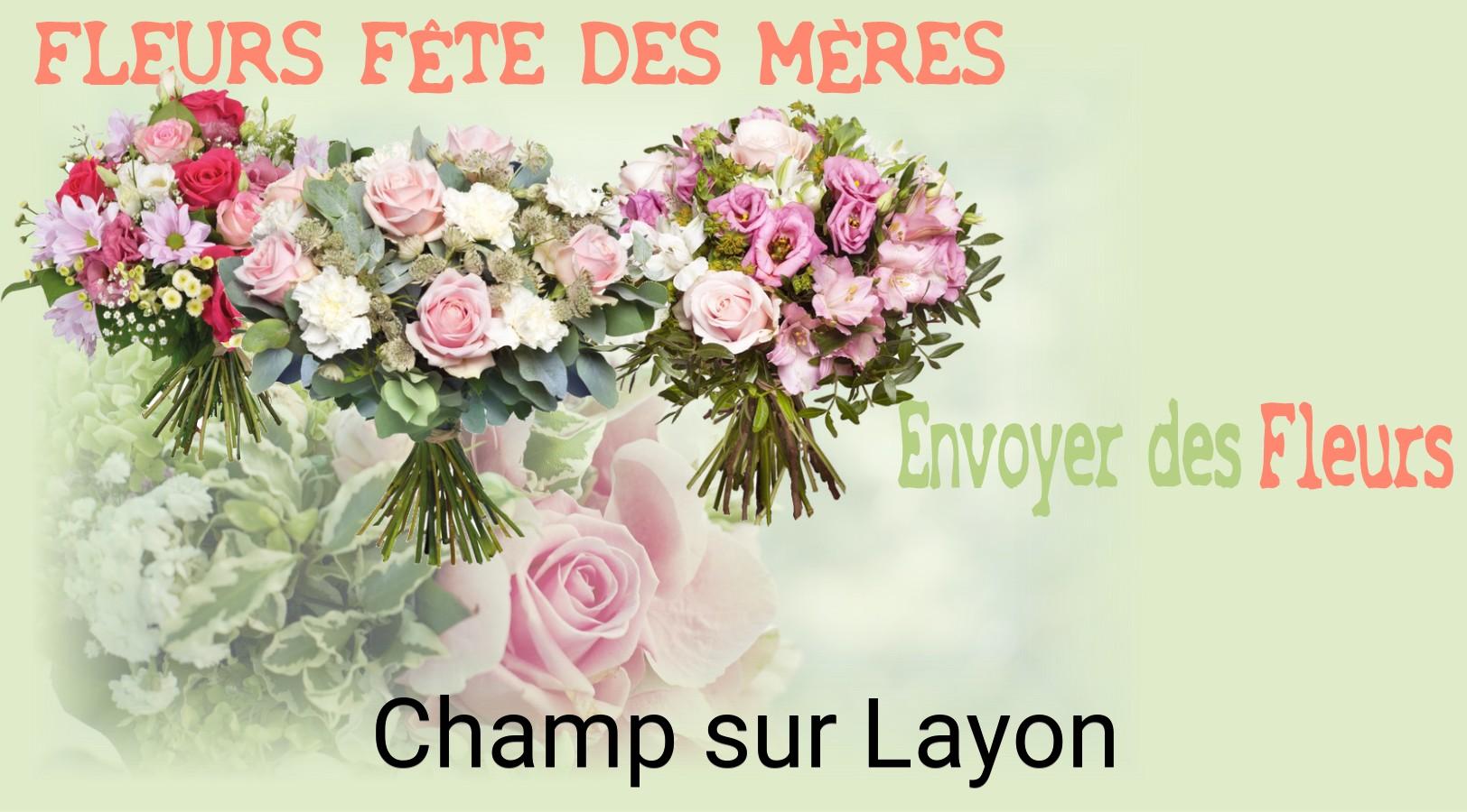 Bouquet de Fête des Mères livré à Champ-sur-Layon